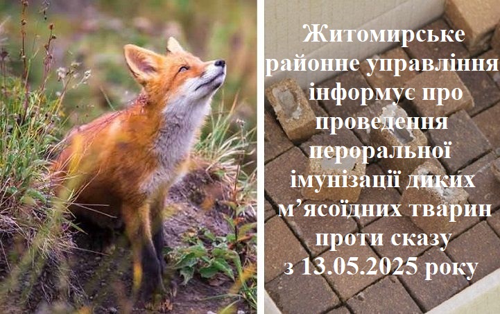 103 ilyustratsiya imunizatsiya 0