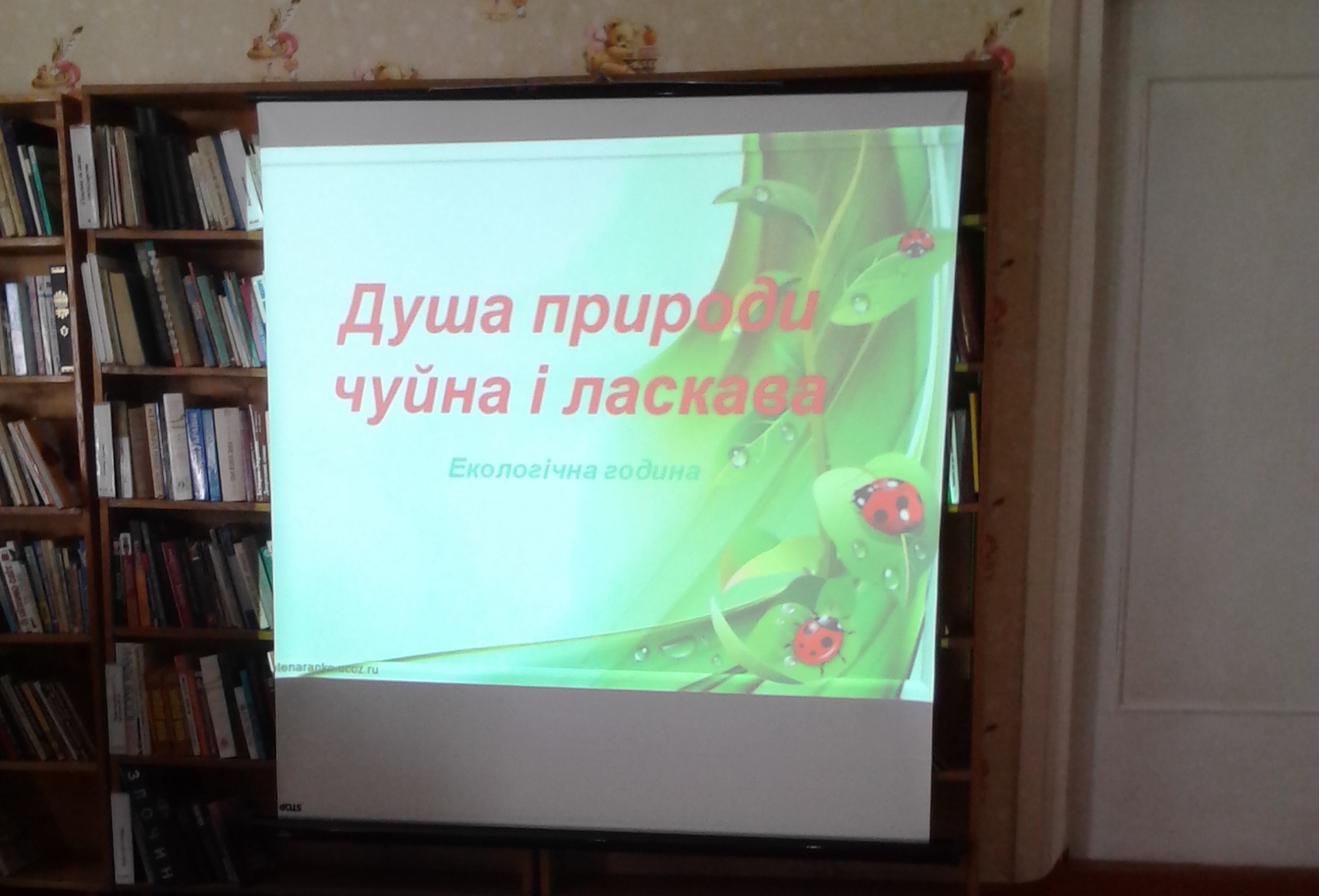 Dovkilya